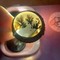 انگشتر شجر کلکسیونی