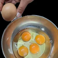 تخم مرغ بومی گلپایگانی|خوردنی و آشامیدنی|اصفهان, شیخ طوسی|دیوار