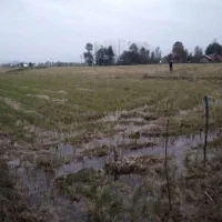 3712متر-زمین-کشاورزی