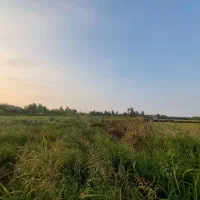 زمین-مسکونی-جنگلی-ساحلی-ویلا