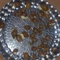 حلزون آلبینو