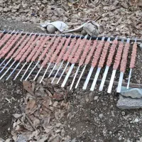 گروه طبیعتگردی روانشناسی لیان
