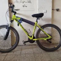 ۱۲ تومن|پرنده|سیرجان, |دیوار