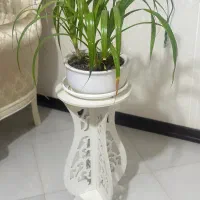گل و میز