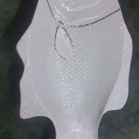 دیس مدل ماهی