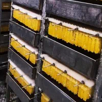 نبات چوبی|خوردنی و آشامیدنی|اصفهان, سرتاوه|دیوار