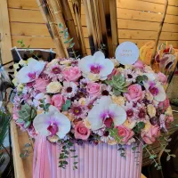 طراحی باکس و دسته گل طبیعی|گل و گیاه طبیعی|تهران, شکوفه|دیوار