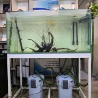 اکواریوم کامل ریملس ۳۲۰ لیتری