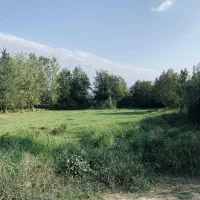 زمین باغی بازکیاگوراب ایشکا