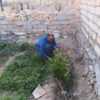 انجام کار باغبانی