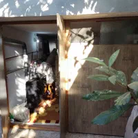 درب چوبی پارکینگ|مصالح و تجهیزات ساختمان|رشت, حمیدیان|دیوار