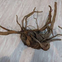 چوب ابنوس|ماهی|اصفهان, پروین|دیوار