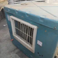کلر ابی|کولر آبی|خوی, |دیوار