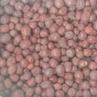 عناب برداشت امسال سالم|خوردنی و آشامیدنی|خوسف, |دیوار