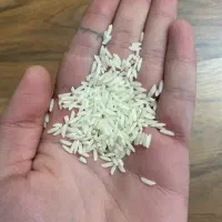 برنج هاشمی رشت درجه یک فوری