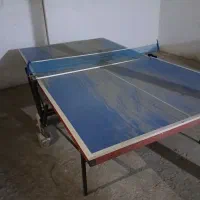 میز پینگ پونگ|ورزشهای توپی|صحنه, |دیوار