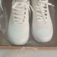 کتونی اکو|کیف، کفش، کمربند|ملارد, |دیوار