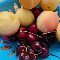 کارگرهستم به کارنیازدارم