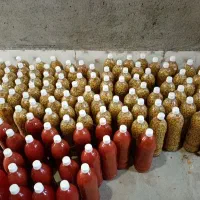 شیره انگور، آبغوره و غوره شور فروشی|خوردنی و آشامیدنی|کاشمر, |دیوار