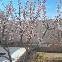 فروش زیرقیمت باغ ۹۰۰ متری با امکانات کامل|فروش خانه و ویلا|اصفهان, براآن شمالی|دیوار