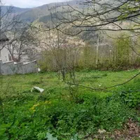 فروش ۷۴۰ متر زمین استثنایی شمال (سند تک‌برگ)