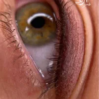 ۷۶۰ تومان شیدینگ،میکروبلیدینگ،تتو|خدمات آرایشگری و زیبایی|اهواز, کیانپارس |دیوار