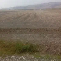 زمین کشاورزی|فروش دفتر صنعتی، کشاورزی، تجاری|گالیکش, |دیوار