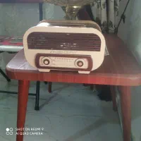 گل و گلدان|گل مصنوعی|گلستان (تهران), |دیوار