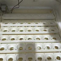 دستگاه جوجه کشی.84 عددی  کاکس|لوازم جانبی حیوانات|قم, دانش|دیوار