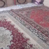 سویت روزانه|اجارهٔ کوتاه‌مدت آپارتمان و سوئیت|کرمان, |دیوار