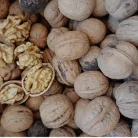 گردوی پر مغز مراغه مستقیم از کشاورز|خوردنی و آشامیدنی|تهران, امانیه|دیوار