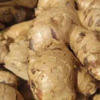 زنجبیل تایلندی|خوردنی و آشامیدنی|اصفهان, نیروگاه|دیوار