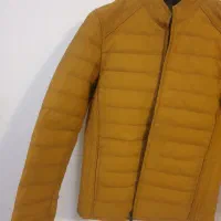 کاپشن چرم فرس ( firs )|لباس|بابلسر, |دیوار