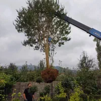 خدمات جرثقیل نیسان رضایی|خدمات حمل و نقل|رودسر, |دیوار