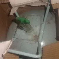 گاز 134a مارک اوزیل کپسول سه کیلو و400 گرمی هست