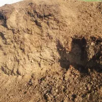 کشاورزی خاک کود مناسب|گل و گیاه طبیعی|اهواز, پادادشهر|دیوار