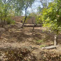 خانه باغچه5400متری انشعابات داربهترین موقعیت اسکو|فروش زمین و ملک کلنگی|اسکو, |دیوار