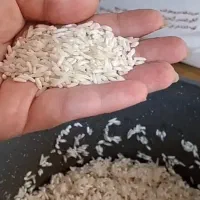 مجری فروش برنج های اقتصادی با برکت انشالله|خوردنی و آشامیدنی|اندیشه, شهرک صدف|دیوار