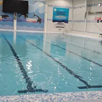 نیروی خدماتی اقا