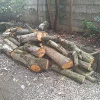 فروش چوب گردو وچوب انجیر|خدمات باغبانی و درختکاری|شلمان, |دیوار