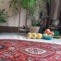 فرشینه و پادری ترک