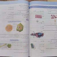 علوم ۷ام خیلی سبز|کتاب و مجله آموزشی|اهواز, سلطانمنش|دیوار