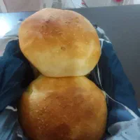 انواع غذای خانگی