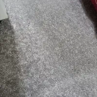 پالاز موکت