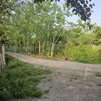ویلاباغ810متری/سندتکبرگ/برجاده اصلی روستا|فروش خانه و ویلا|خشکبیجار, |دیوار
