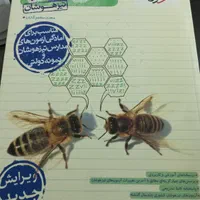 کتاب و آزمون برای قبولی در مدارس سمپاد|کتاب و مجله آموزشی|اهواز, نبوت|دیوار