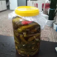 انواع خیارشور وترشی پیاز ،هفت بیجار ،ترشی کلم بنفش|خوردنی و آشامیدنی|گوراب زرمیخ, |دیوار