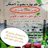 چای شمالی خوشرنگ