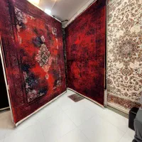 لیدی لاکی|فرش|مشهد, سراب|دیوار