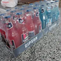 دلستر موهیتو